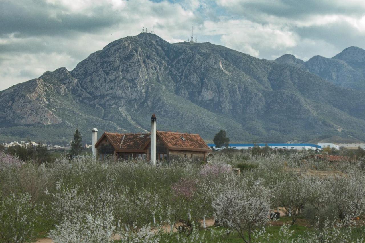 Dar Zaghouan Ξενοδοχείο Εξωτερικό φωτογραφία